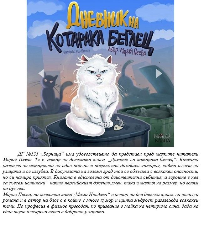 Дневника на котарака беглец - ДГ 133 Зорница - София, Изгрев